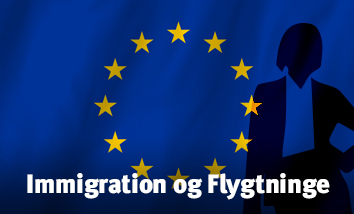 eu-kommissær flag